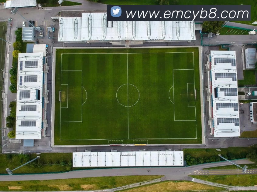 易倍体育emc平台生态图